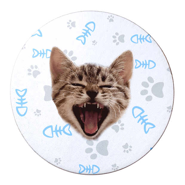 PawHub Blue Custom Cat Coasters (Set of 6) | Fish Bone + Paws