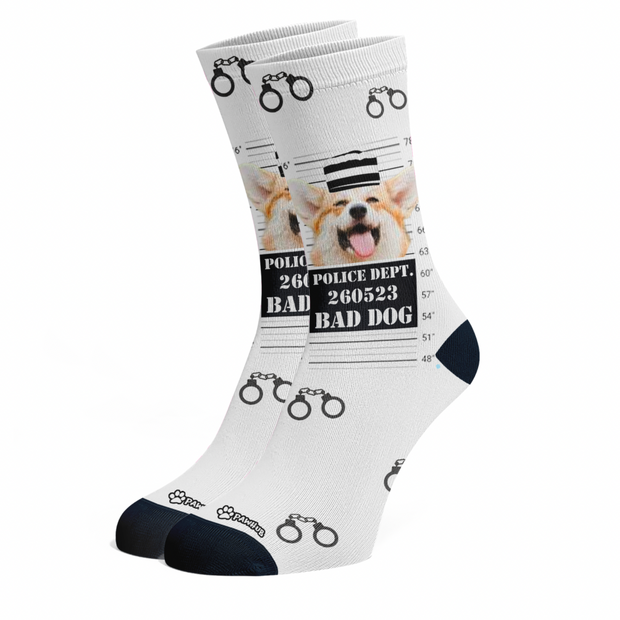 Bad Dog Socks