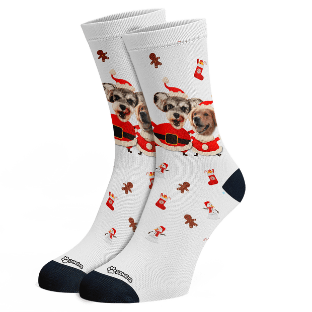 PawHub Christmas Socks
