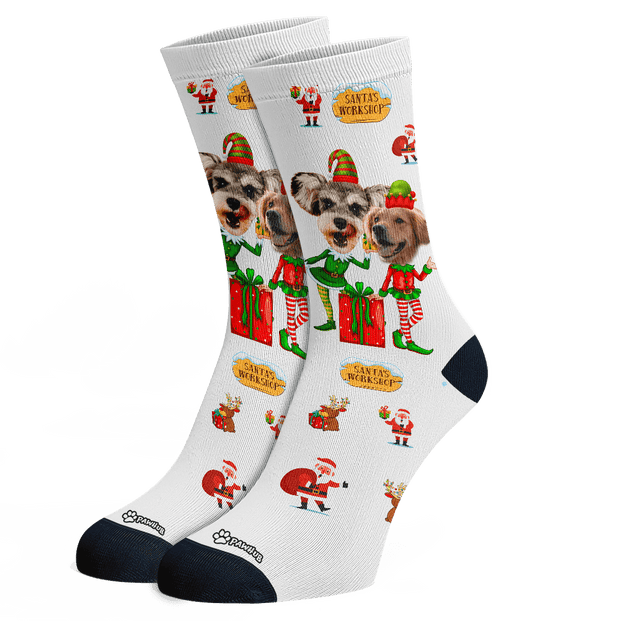 PawHub Christmas Socks