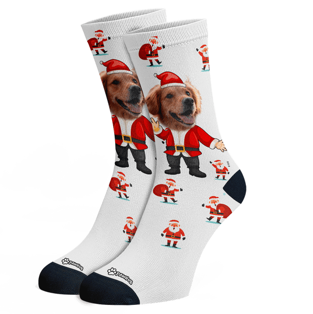 PawHub DOG / Santa Claus Christmas Socks