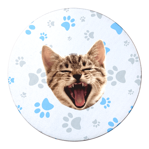 PawHub Cat / Blue / Paw Prints Custom Coasters
