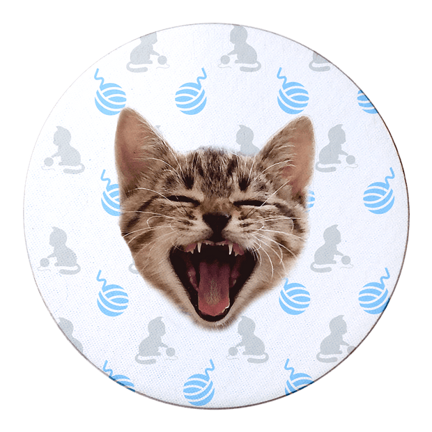 PawHub Cat / Blue / Wool Ball Custom Coasters
