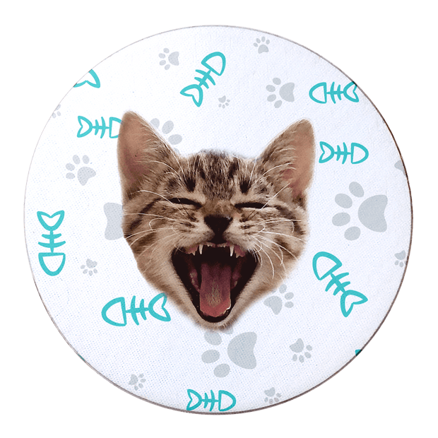 PawHub Turquoise Custom Cat Coasters (Set of 6) | Fish Bone + Paws