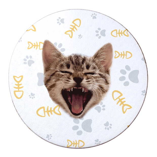 PawHub Yellow Custom Cat Coasters (Set of 6) | Fish Bone + Paws