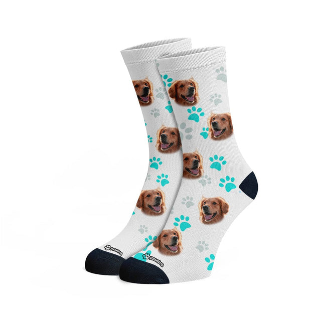 PawHub DOG / PAW PRINTS / TURQUOISE Custom Socks